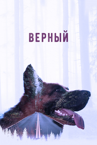 Верный фильм 2016